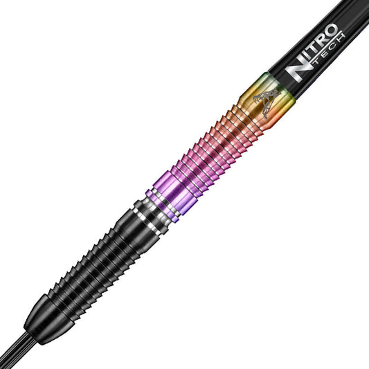 Peter Wright World Champion SE