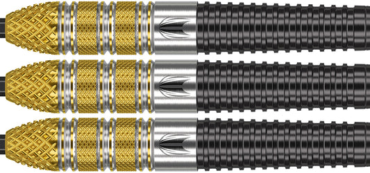 Target Raymond van Barneveld G4 RVB 95% Swiss