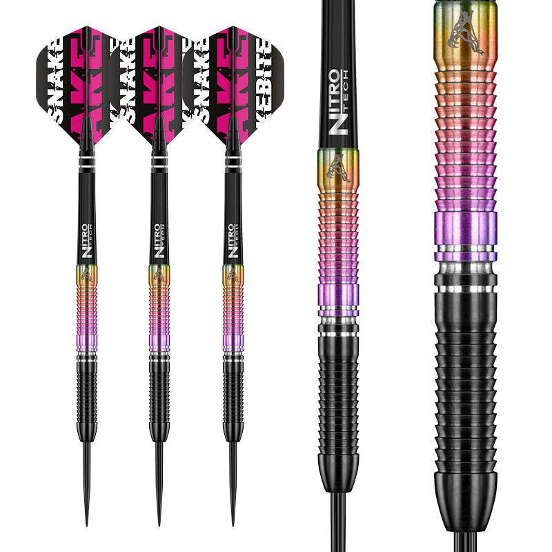 Peter Wright World Champion SE