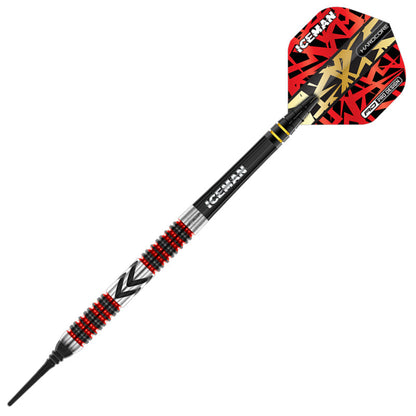 Gerwyn Price Firebird Softip